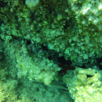 G0010144